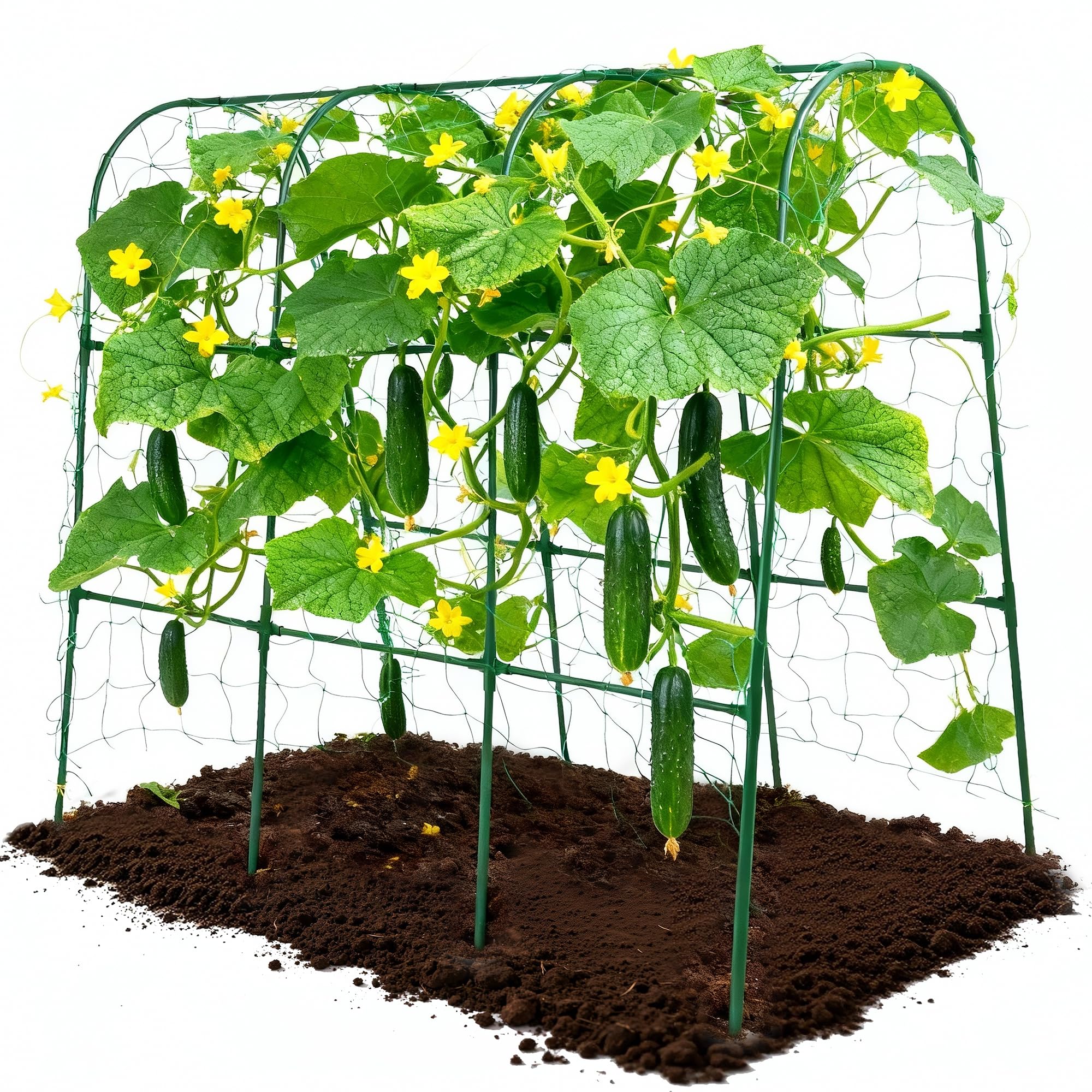 ATLIKE cucumber trellis U-shape guides vines upward for easy harvesting.