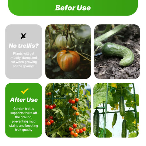 ATLIKE netting and accessories simplify plant training and setup.
