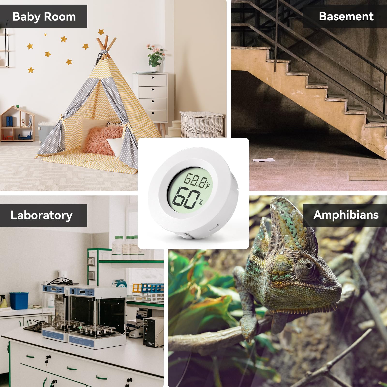 Atogou device in car or terrarium for versatile monitoring.