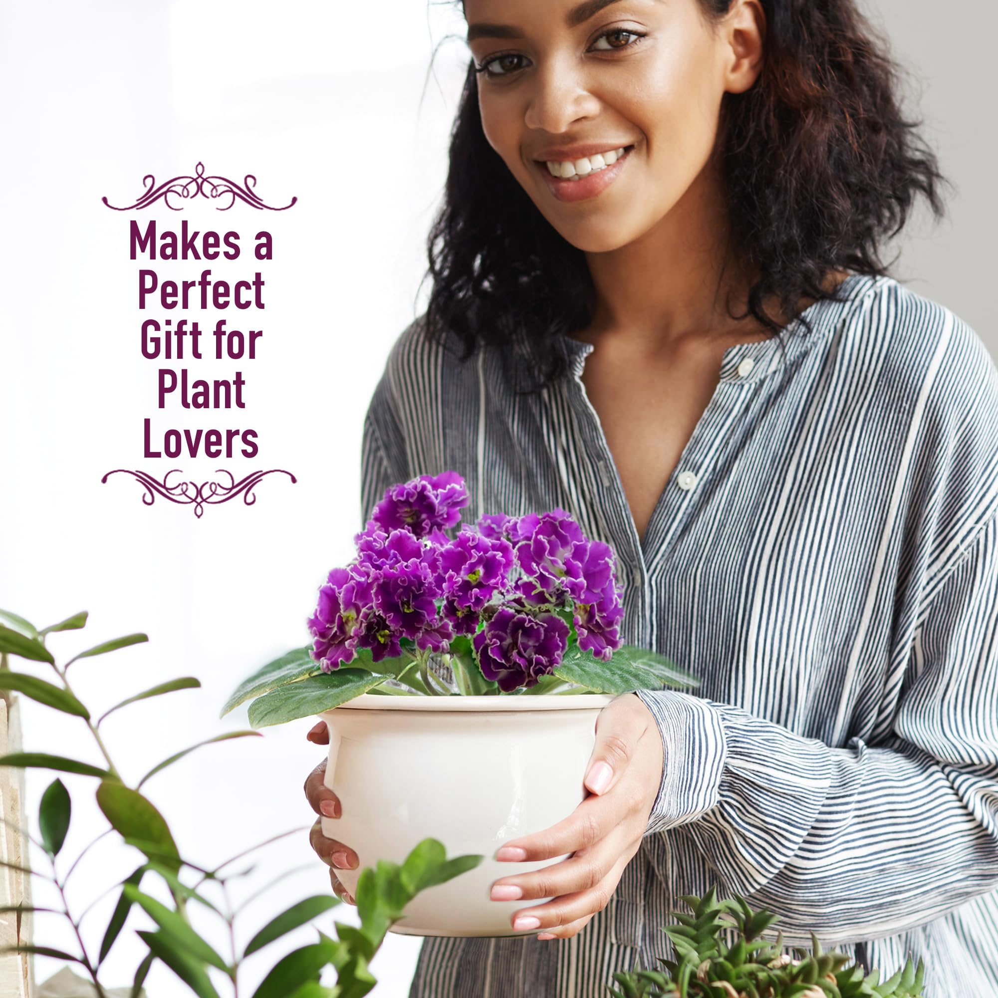 Atri African violet setup shows dimensions for compact spaces.
