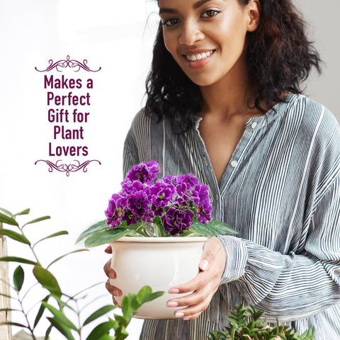 Atri African violet setup shows dimensions for compact spaces.