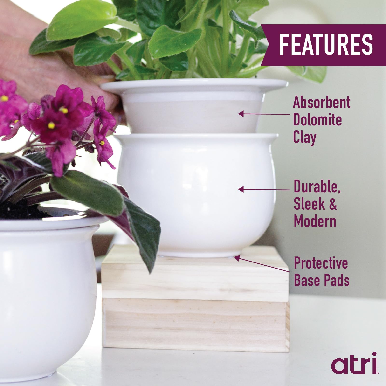 Atri inner absorbent dolomite pot drawing water up for thriving roots.