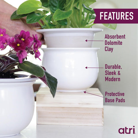 Atri inner absorbent dolomite pot drawing water up for thriving roots.