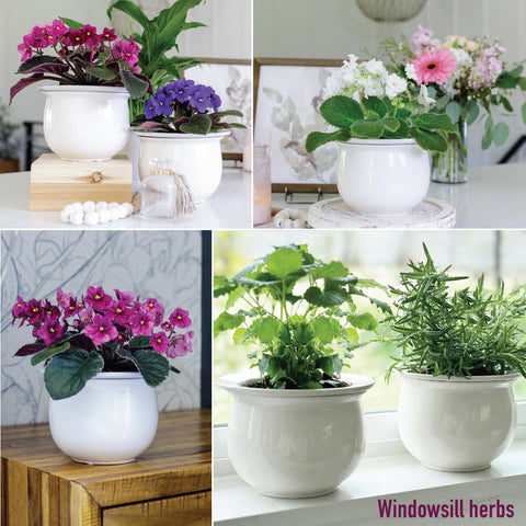 Atri bottom-watering design supports steady moisture for healthy growth.