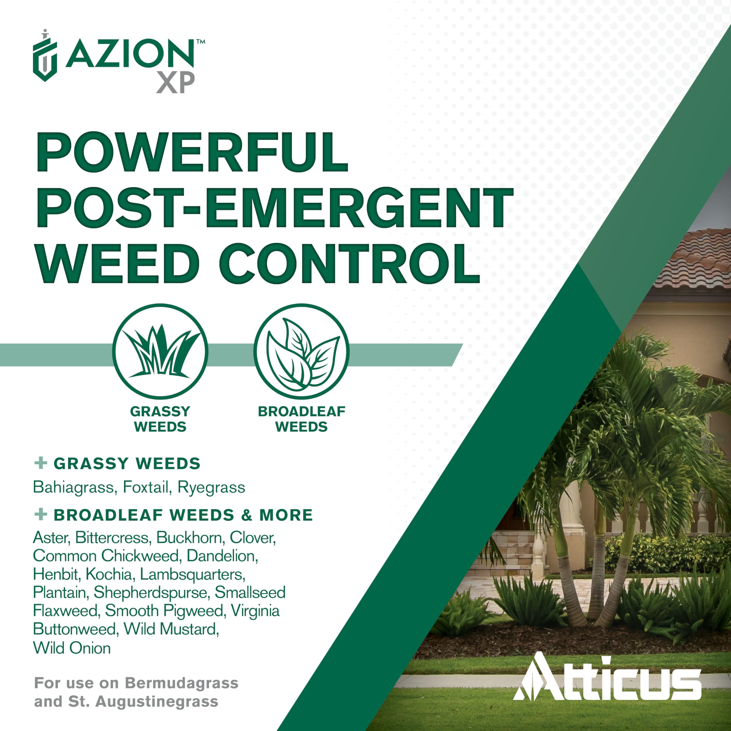 Summer application scene showing post-emergence weed control with Azion XP.