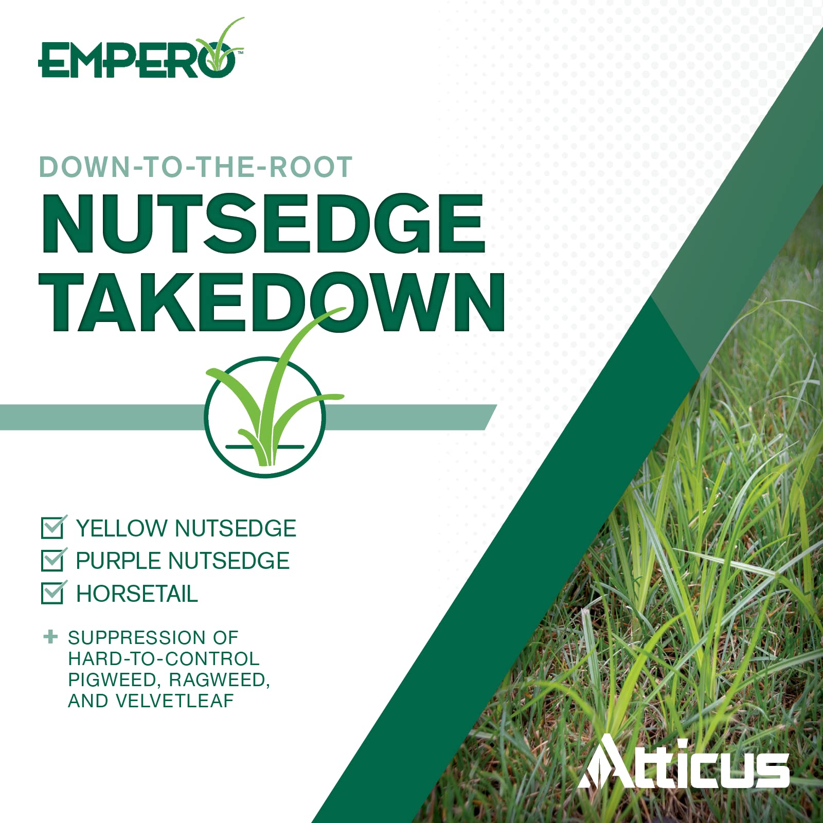 Atticus Empero application on lawn showing simple spray use