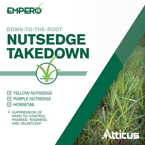 Atticus Empero application on lawn showing simple spray use