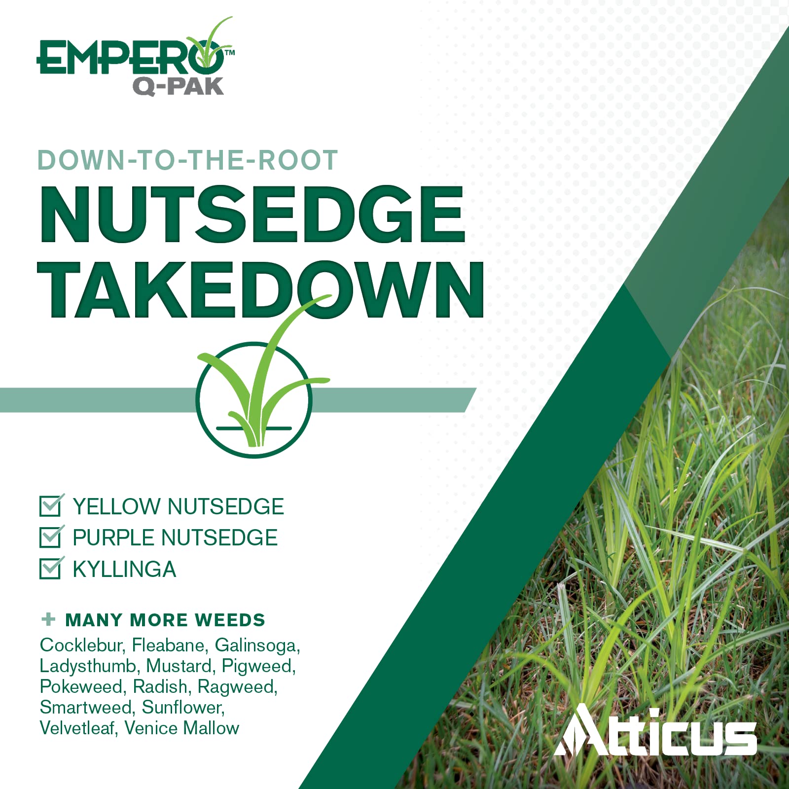 Atticus Empero Q-Pak packet for pre-measured mixing with water.