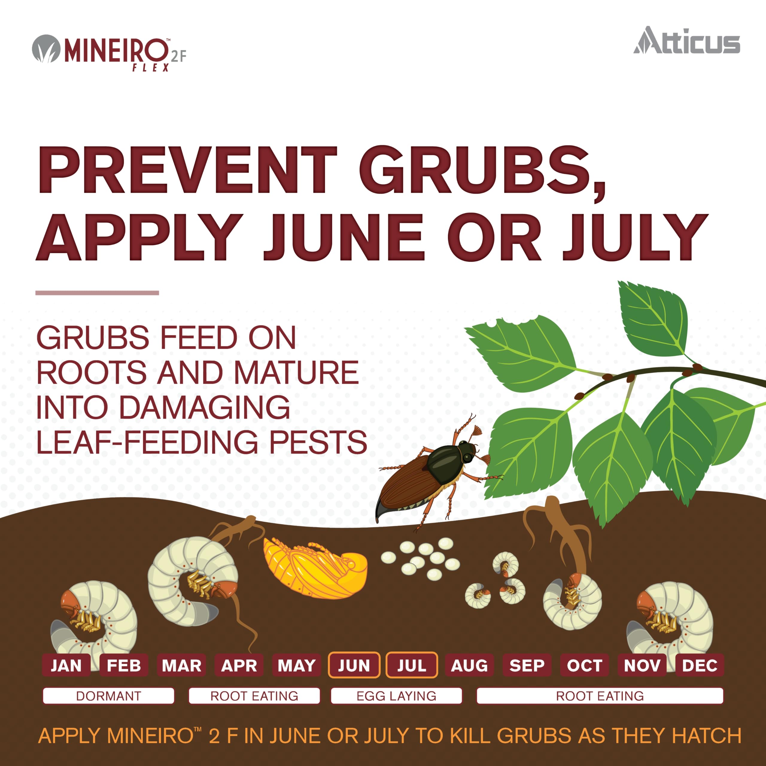 Atticus Mineiro 2F Flex used in parks and fields to guard turf health.