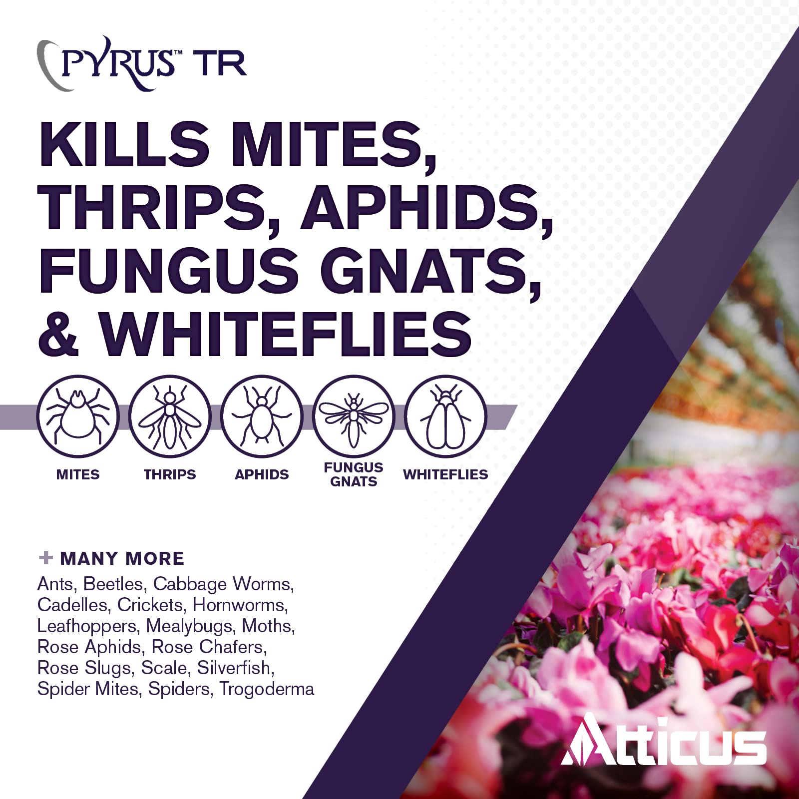 Atticus Pyrus TR fogger in action delivering pest control