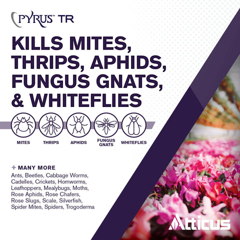 Atticus Pyrus TR fogger in action delivering pest control