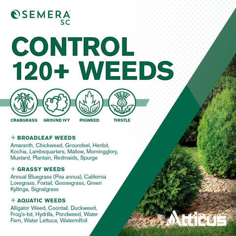 Atticus Semera SC aquatic application along water edge showing control