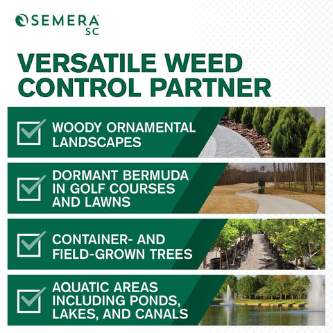 Atticus Semera SC weed control in a garden bed with suppression