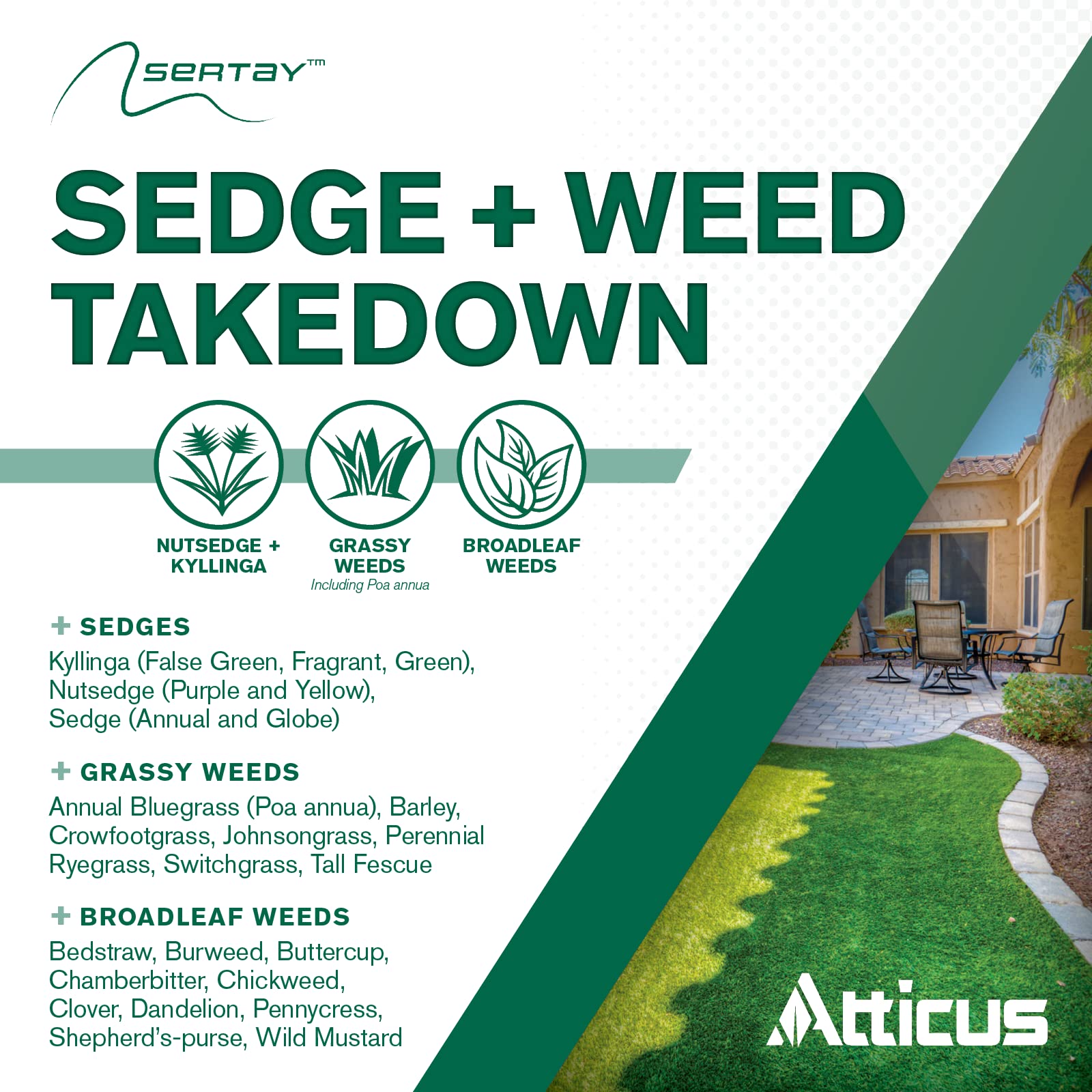 Atticus Sertay application on lawn demonstrates post-emergent weed control.