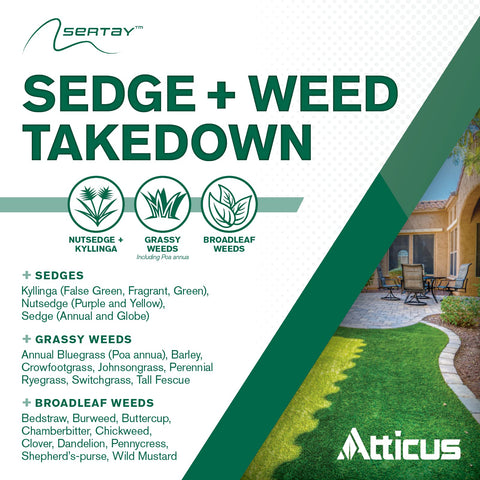 Atticus Sertay application on lawn demonstrates post-emergent weed control.