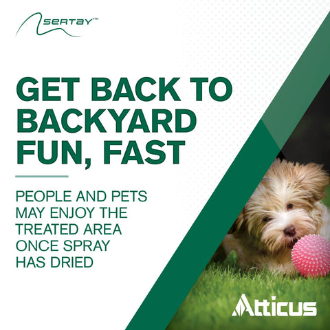Atticus Sertay supports clean overseeding by preparing the lawn before planting.