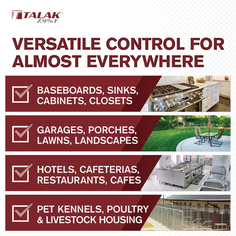 Atticus Talak 7.9 F indoors applied to a baseboard for pest control.