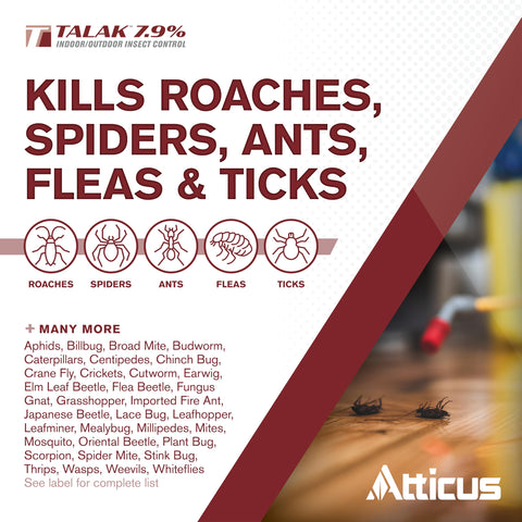 Atticus Talak 7.9% interior baseboards for quick protection.
