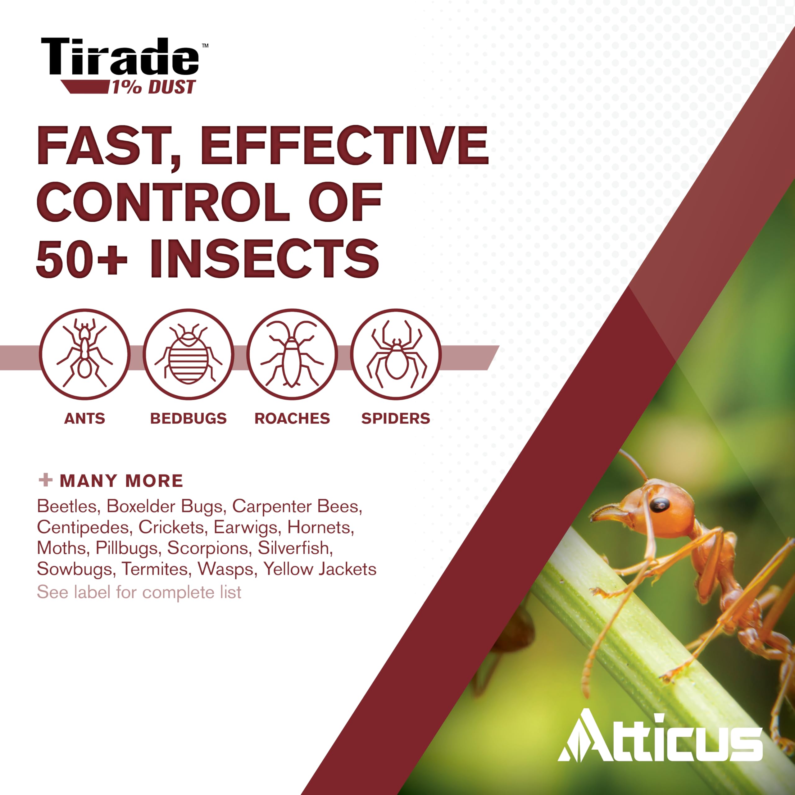 Atticus Tirade 1% Dust kills bed bugs and ants