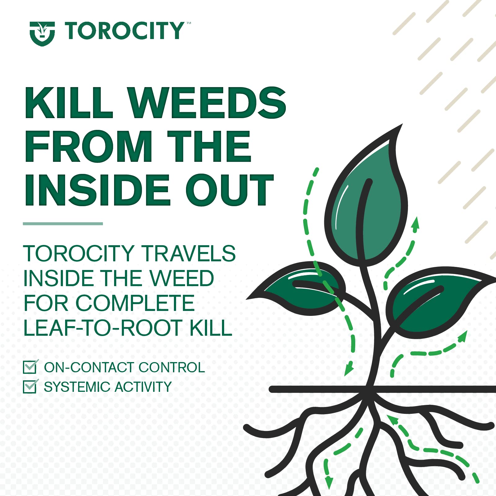 Atticus Torocity new seed lawn treatment to reduce weed competition
