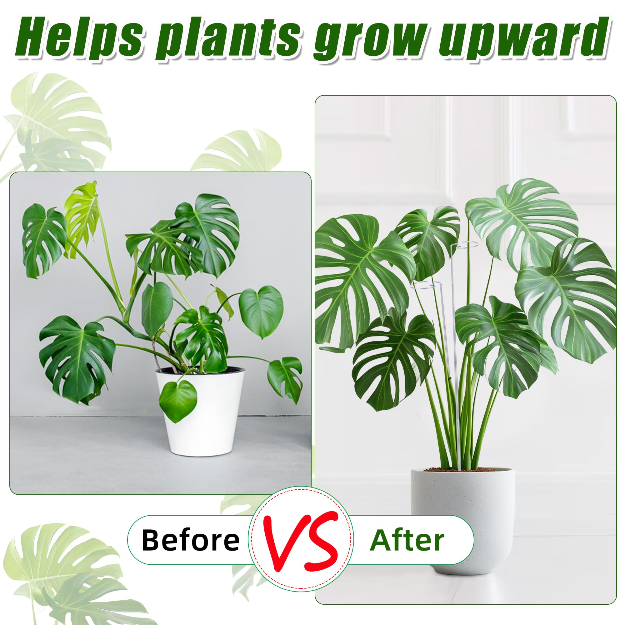 Atvkov tomato or orchid stake helps vines grow tall and tidy.