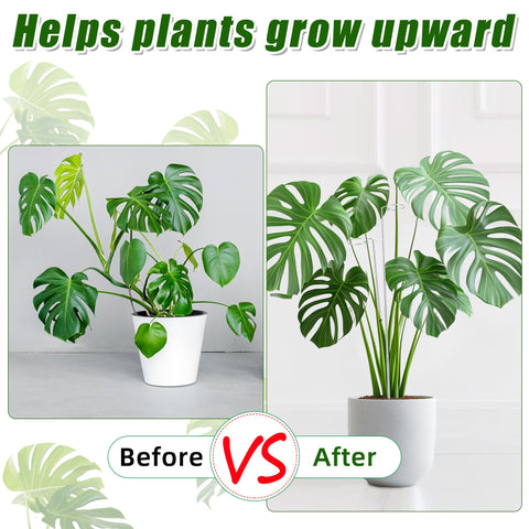 Atvkov tomato or orchid stake helps vines grow tall and tidy.