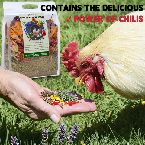 AUBOEAY edible, non-GMO herbs safe for direct flock contact