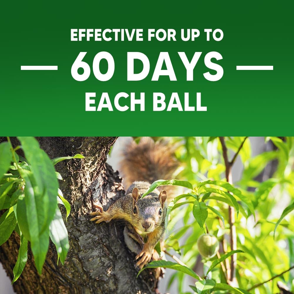 AUDQQM Squirrel Repellent yard and shed placement reduces repeated squirrel visits
