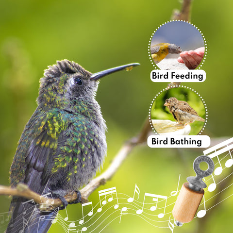 Audubon Bird Call zinc plug detail illustrates sound-tuning by pressure and twist.