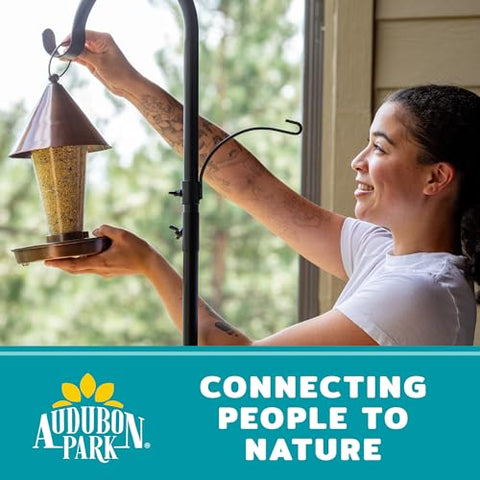 Audubon Park backyard scene showing vibrant bird activity with clean feeding.