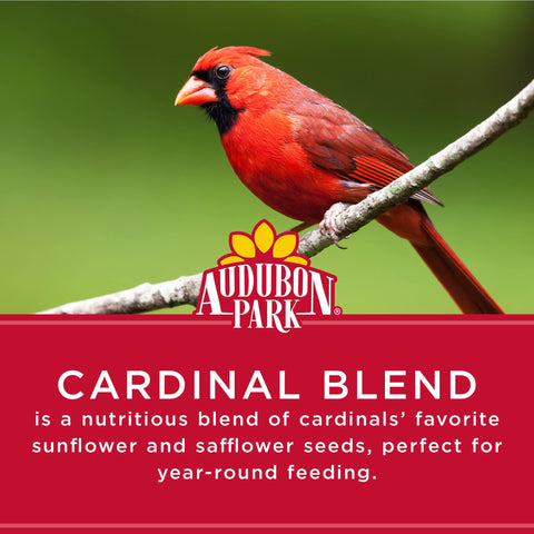 Audubon Park Cardinal Blend safflower seeds deter squirrels while feeding birds