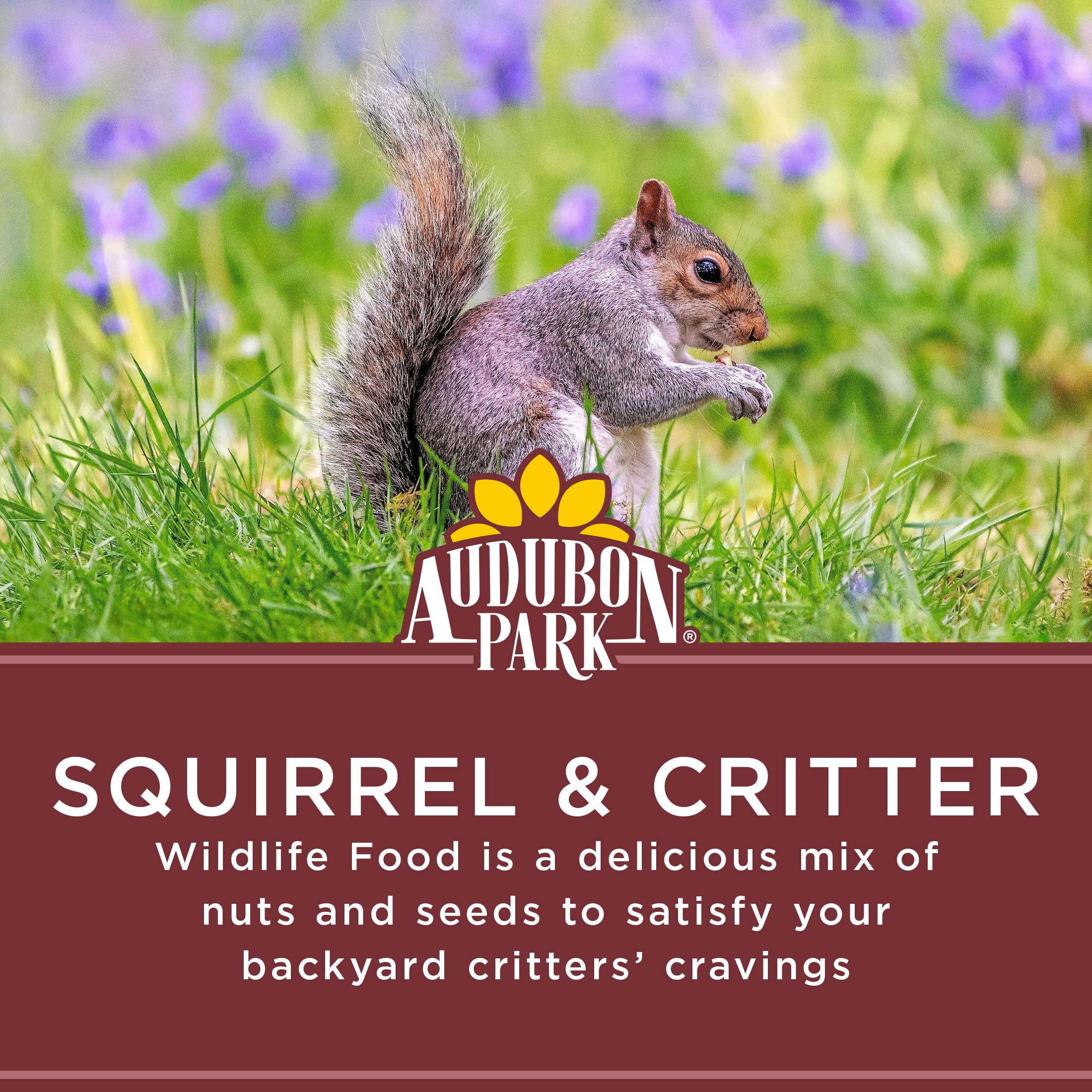 Audubon Park Chipmunks, jays, and woodpeckers drawn to the crunchy mix