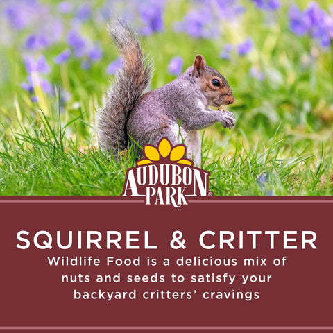 Audubon Park Chipmunks, jays, and woodpeckers drawn to the crunchy mix
