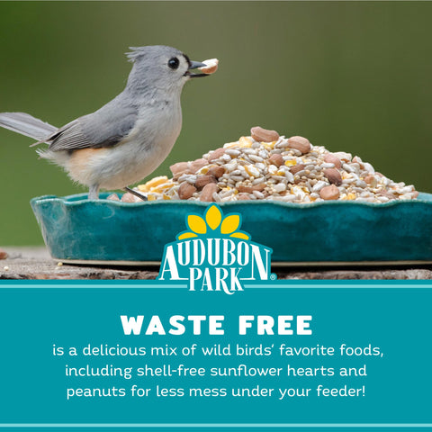 Audubon Park clean-patio feeding setup demonstrates mess-free outdoor dining.