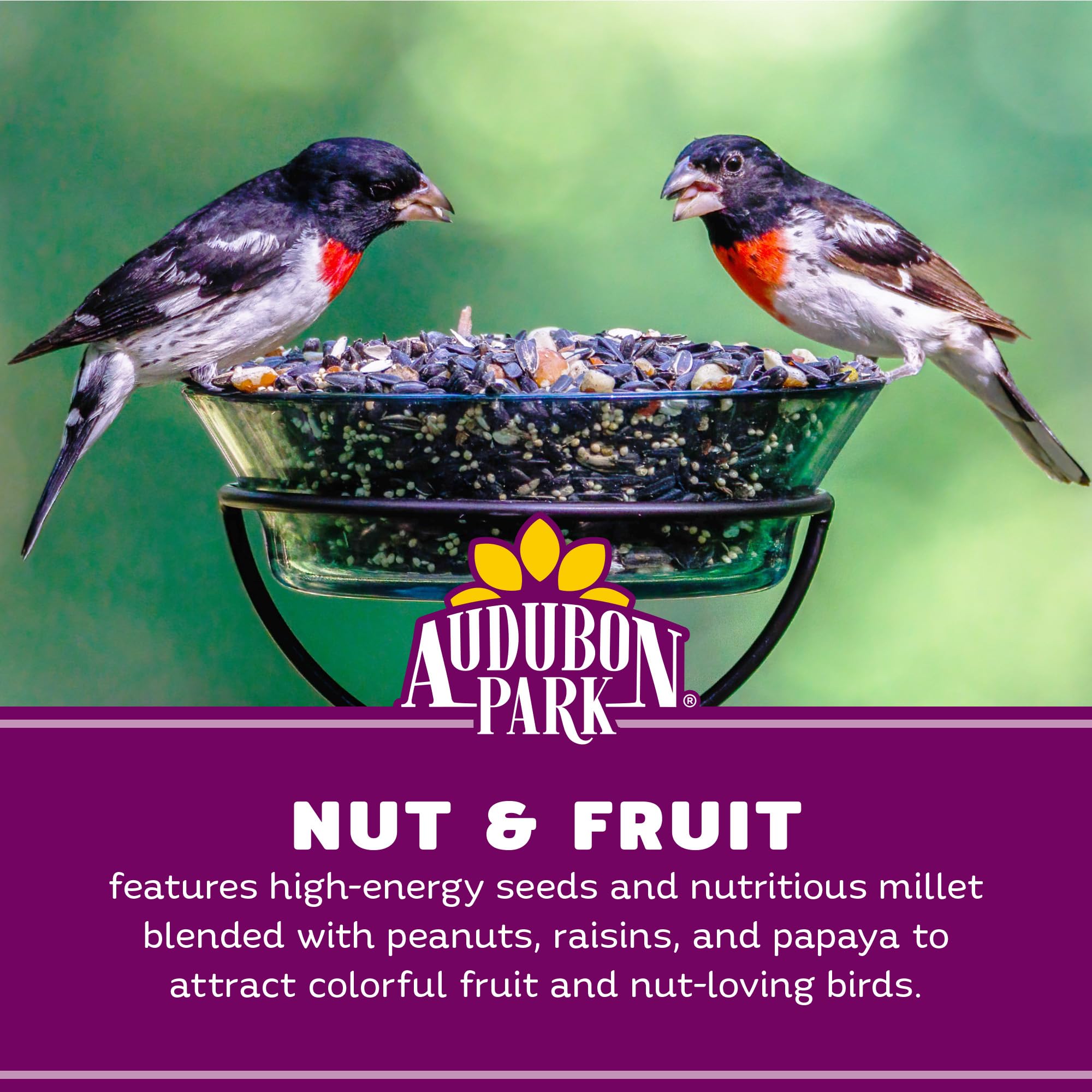 Audubon Park raisins and papaya attract orioles, robins, and fruit-loving species.