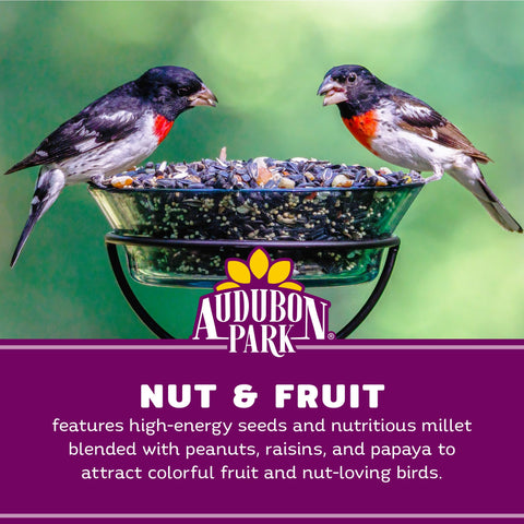 Audubon Park raisins and papaya attract orioles, robins, and fruit-loving species.