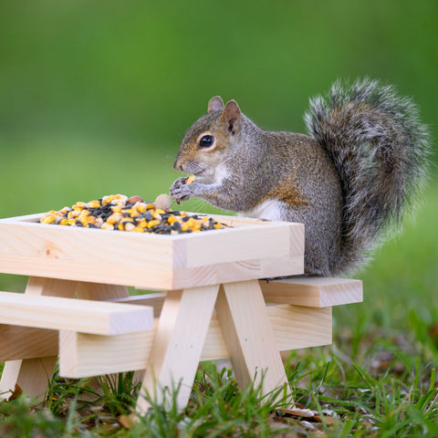Audubon Park Ground feeding setup disperses wildlife-friendly mix