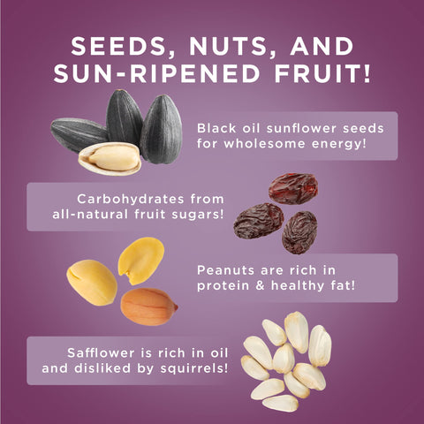 Audubon Park ingredients include peanuts, sunflower seeds, safflower, raisins for gusty flavor.