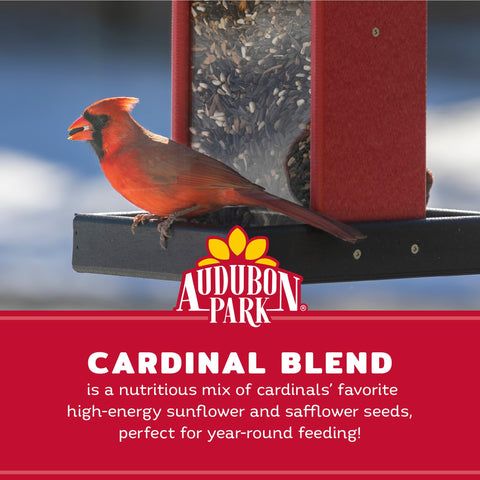 Audubon Park safflower helps deter squirrels at feeders.