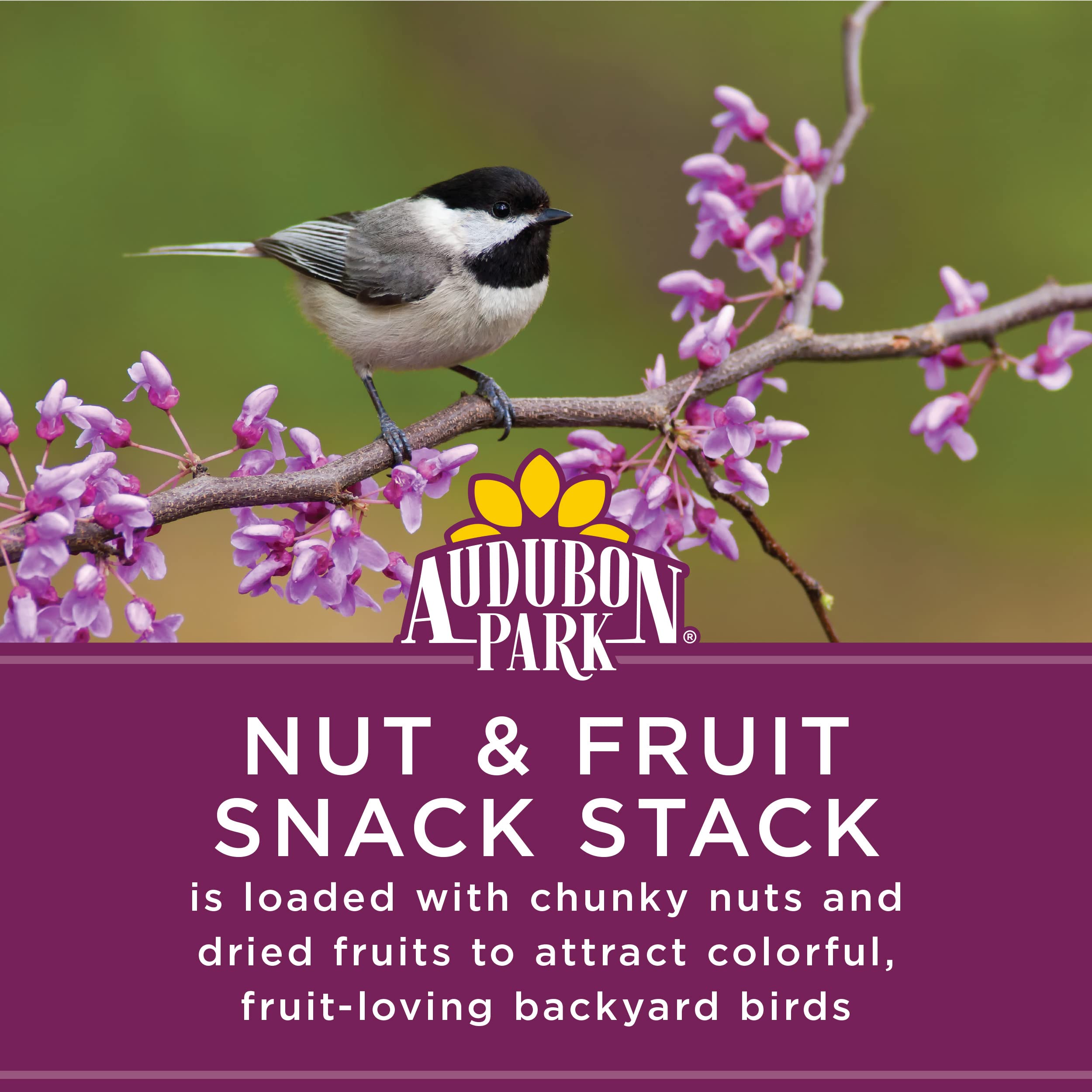Audubon Park seed cake no-melt design for reliable outdoor feeding.