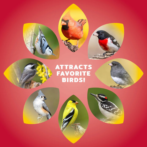 Audubon Park seed measuring scoop helps you fill feeders cleanly.
