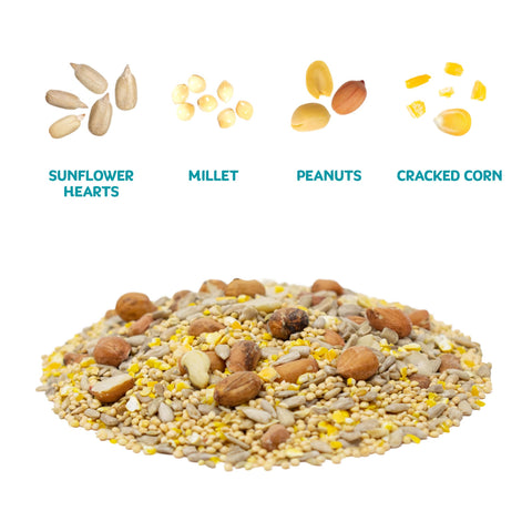 Audubon Park shell-free sunflower hearts close-up highlighting mess-free feeding.