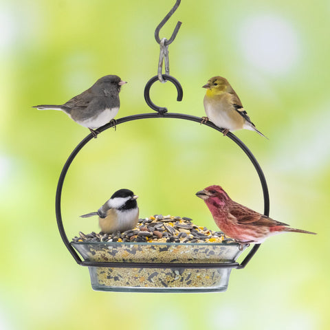 Audubon Park Songbird Blend sits near a garden feeder for birds.