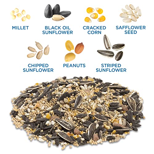 Audubon Park Songbird Blend is a premium seed mix.
