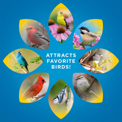 Audubon Park Songbird Blend uses safflower seeds to attract finches.