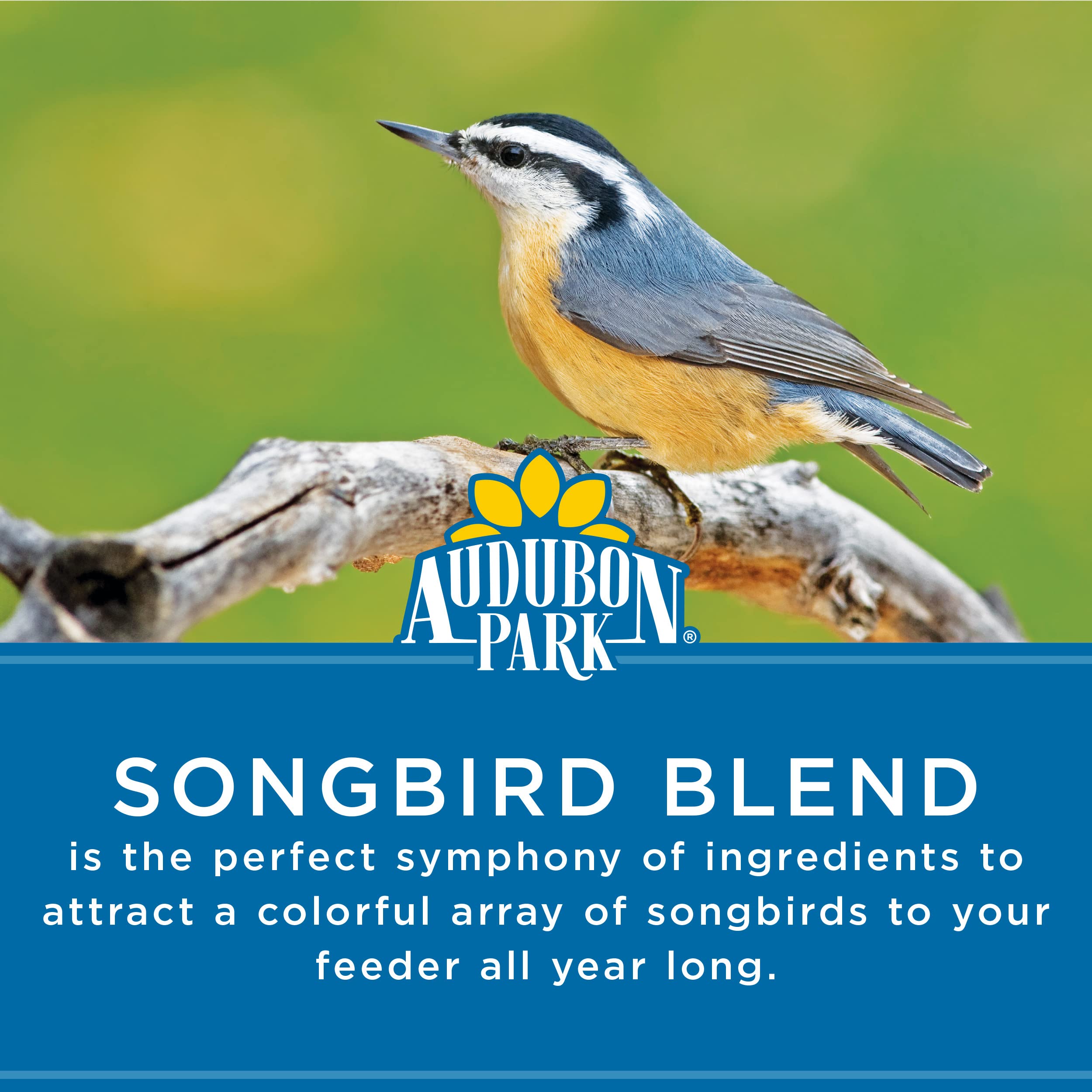 Audubon Park Songbird Blend contains sunflower seeds for energy.
