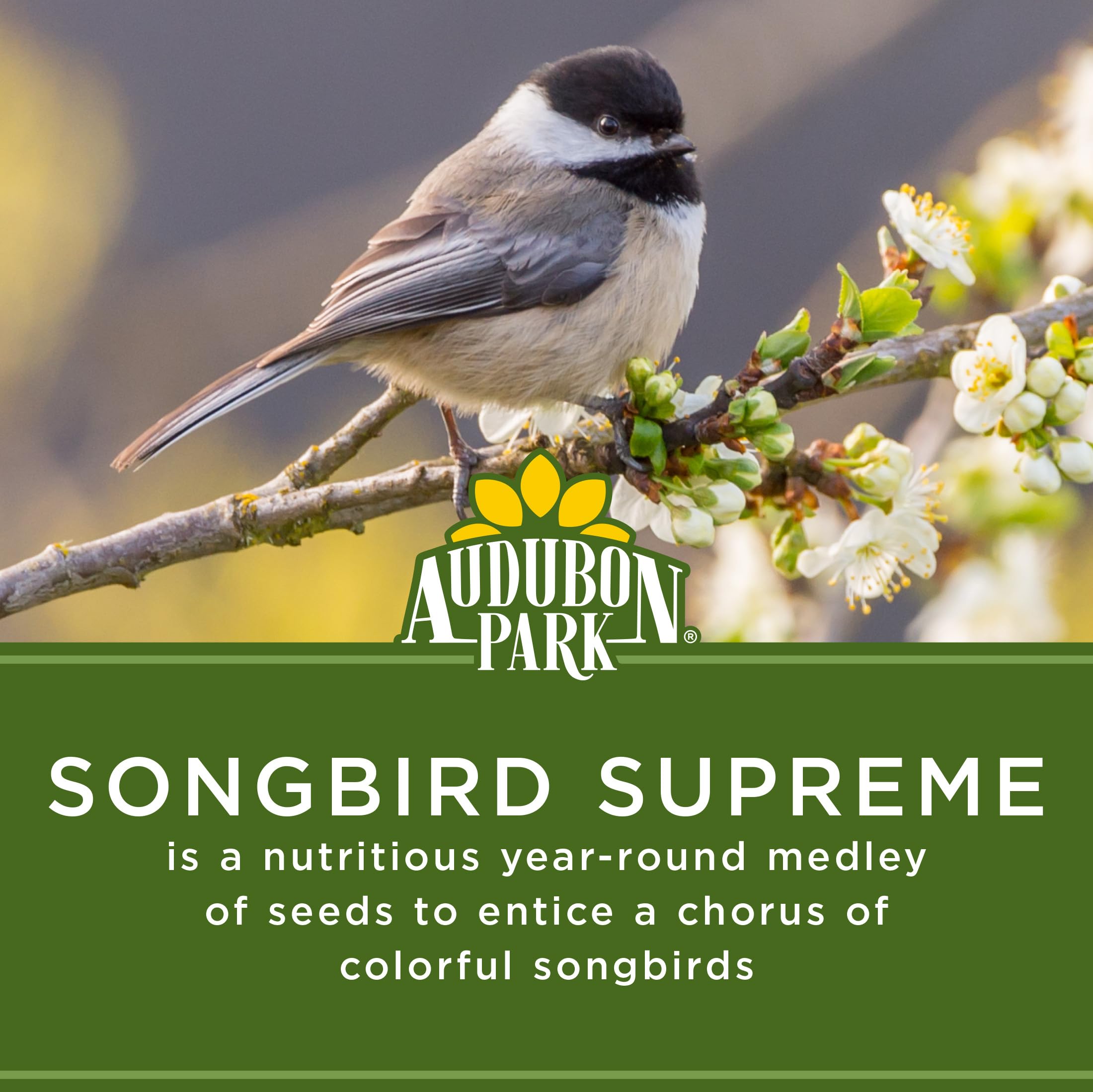 Audubon Park Songbird Supreme seed blend in a hopper feeder shot.