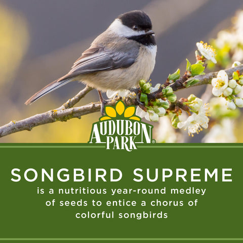 Audubon Park Songbird Supreme seed blend in a hopper feeder shot.