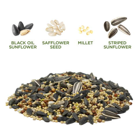 Audubon Park Songbird Supreme seed mix in a tube feeder shot.