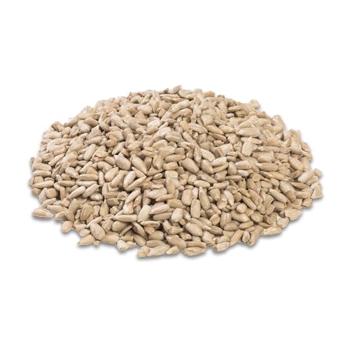 Birds enjoy energy from Audubon Park Sunflower Hearts & Chips